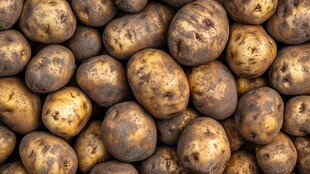 一堆新鲜的黄褐色土豆