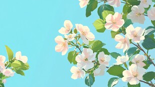 蓝天下绽放的粉嫩花枝
