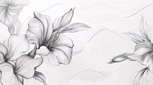 黑白线条绘就的优雅花卉