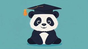 熊猫学士帽形象