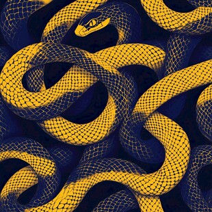 缠绕的黄黑花纹蛇图案