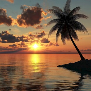 海边椰树夕阳美景