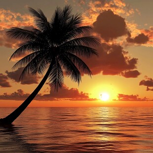 夕阳下的椰树与海面美景