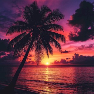 海边椰树旁的绚烂日落