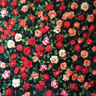 多彩玫瑰花图案布料