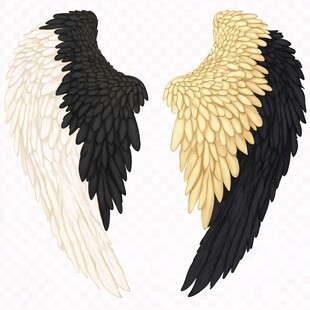 黑白双色精美羽翼插画