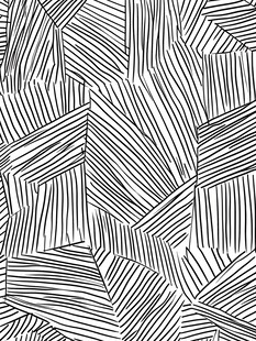 黑白线条几何图案纹理