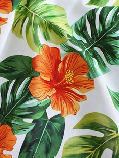 热带花卉绿叶图案设计