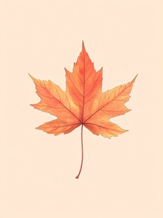 橙黄枫叶的秋日之美