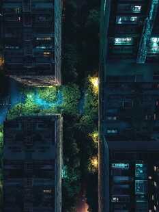 夜幕下的城市楼宇绿植景观