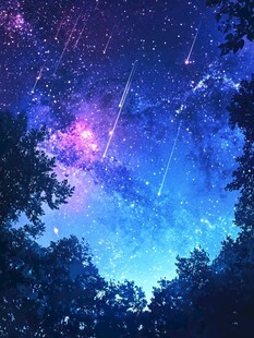 梦幻星空下的森林流星雨