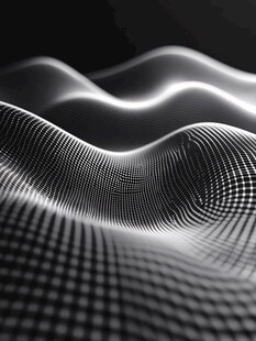 黑白网格波动抽象艺术图