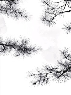 水墨松枝 中式意境之美