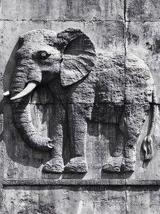 石墙上的大象浮雕