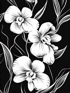 黑白兰花植物装饰图案