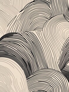 黑白线条波浪抽象图案