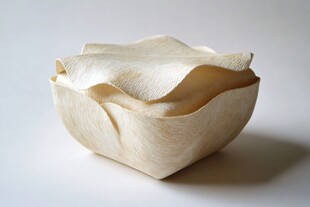 纸质艺术碗 独特造型设计