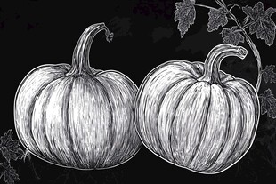 手绘双南瓜与藤蔓图案