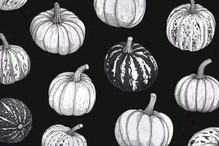 黑白手绘风南瓜图案背景