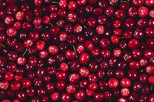 饱满鲜红的大樱桃特写