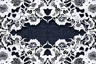 黑白蕾丝花纹装饰图案