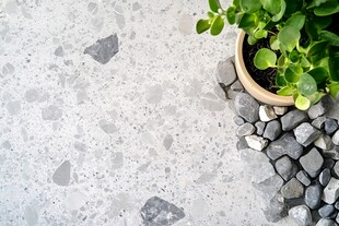 水磨石地面与绿植小景