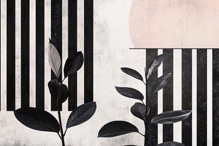 黑白条纹间的植物艺术