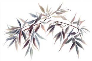 水墨风竹叶枝插画
