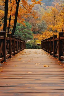 秋景木桥 落叶铺就诗意路