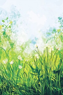 春日草地间的小白花绽放