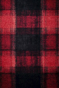 红黑格子纹理布料图案