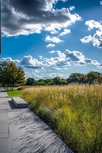 蓝天草地旁的惬意户外景致