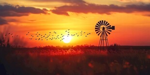 夕阳下的风车与飞鸟美景