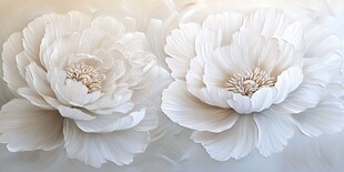 两朵优雅白色立体花朵
