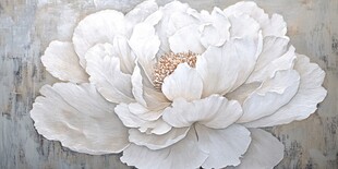 白色立体牡丹花艺术画