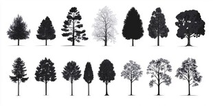 多样树木剪影集合