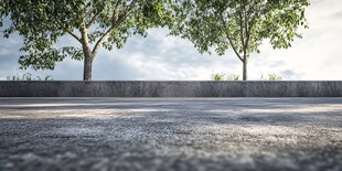 道路旁绿树与开阔天空