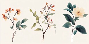 手绘清新花卉植物插画