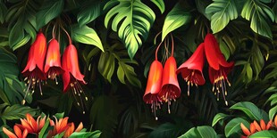 红色悬铃花的热带植物景观