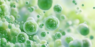 微观绿色细胞世界