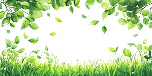 清新绿叶草地边框背景图