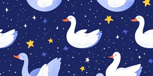 夜空中的白鹅与星星图案