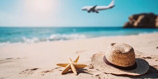 海滩度假 飞机海星与草帽
