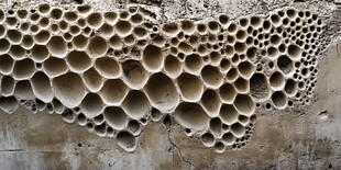 蜂巢状孔洞墙面纹理特写