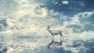 梦幻云端白鹿与明月