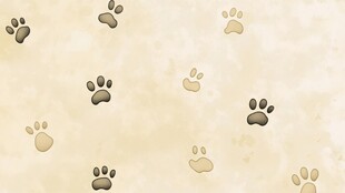 动物爪印背景图