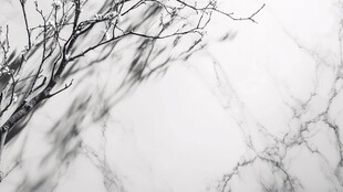 冬日枯枝与大理石纹理