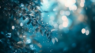 梦幻蓝调枝叶光影景致