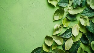 绿叶点缀的清新绿色背景