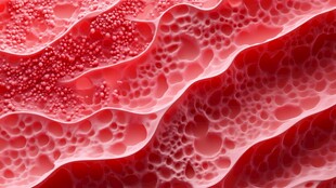 红色波浪状细胞微观结构